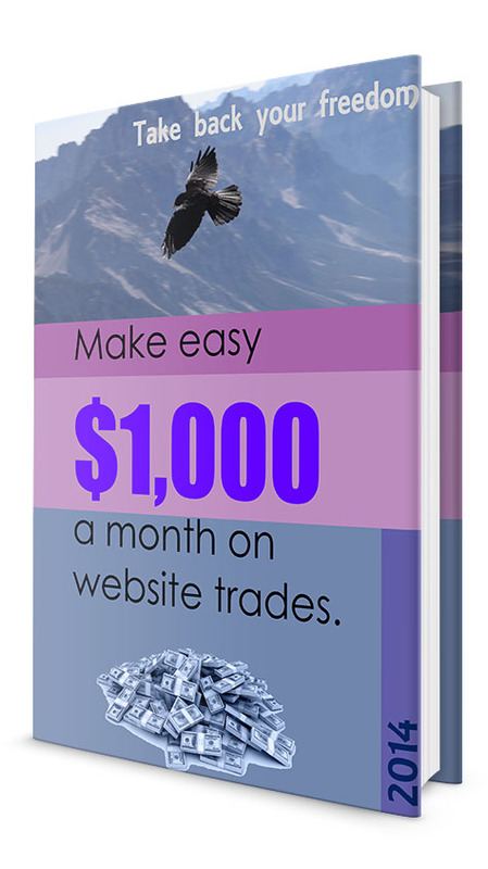 Product picture Make easy $1,000 a month on website trades. MRR